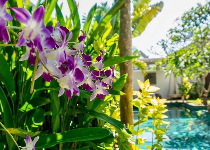 Damai Uluwatu (Bali)